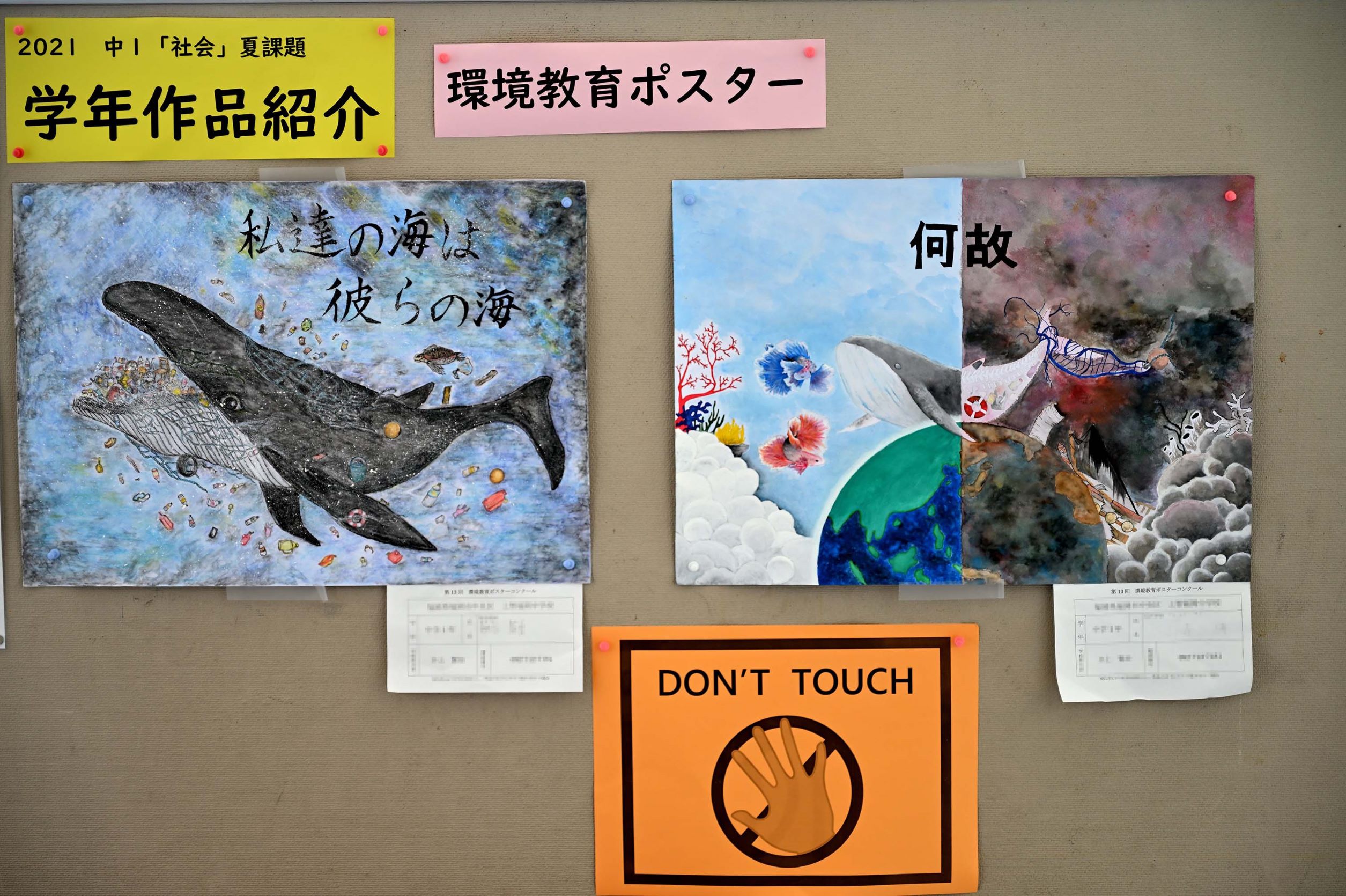 中1夏の自由研究｜今週の上智福岡｜上智福岡中学高等学校