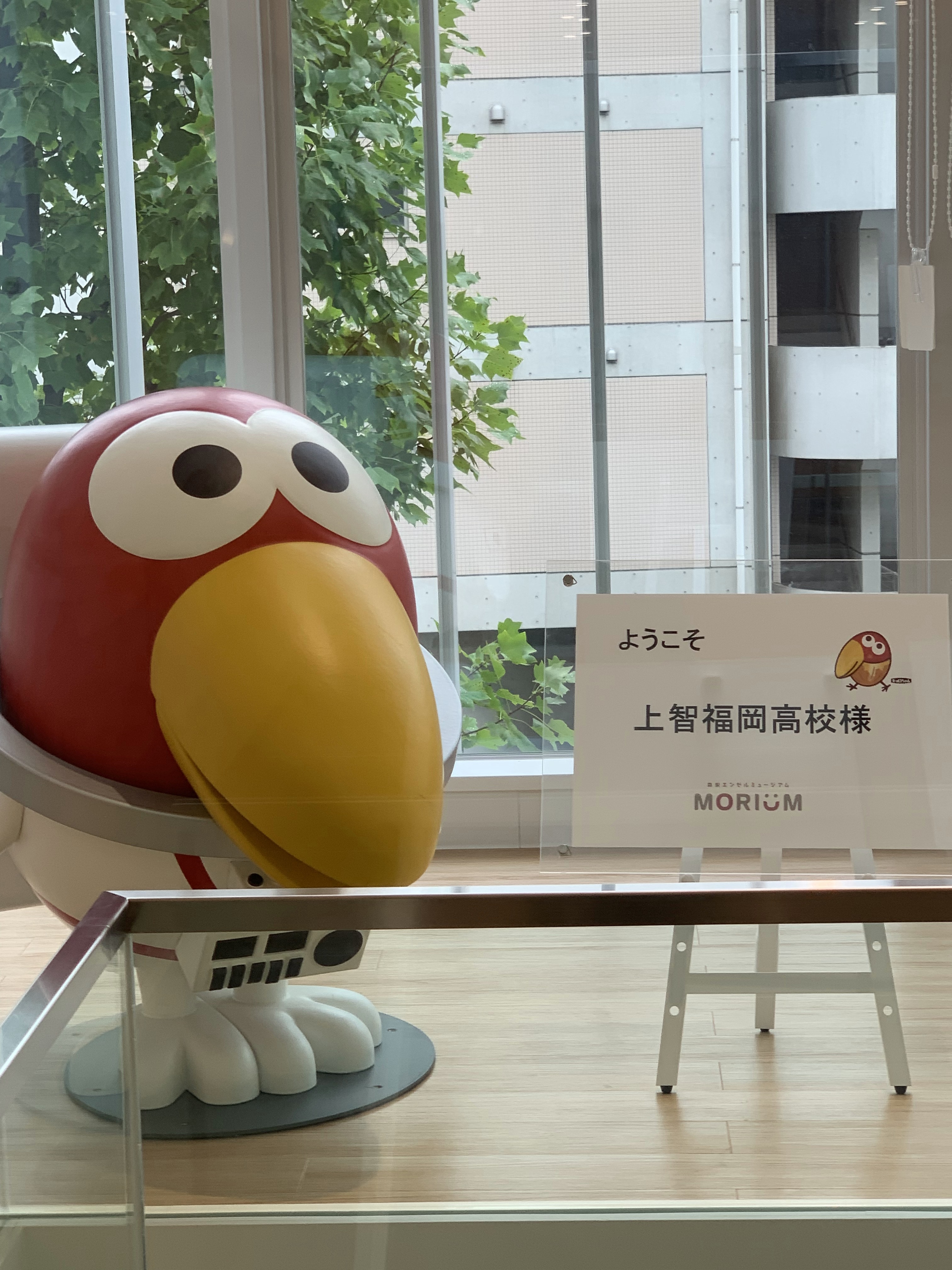 高2 研修旅行 in 東京＆横浜｜今週の上智福岡｜上智福岡中学高等学校