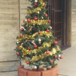 2015-12-05 07.41.13